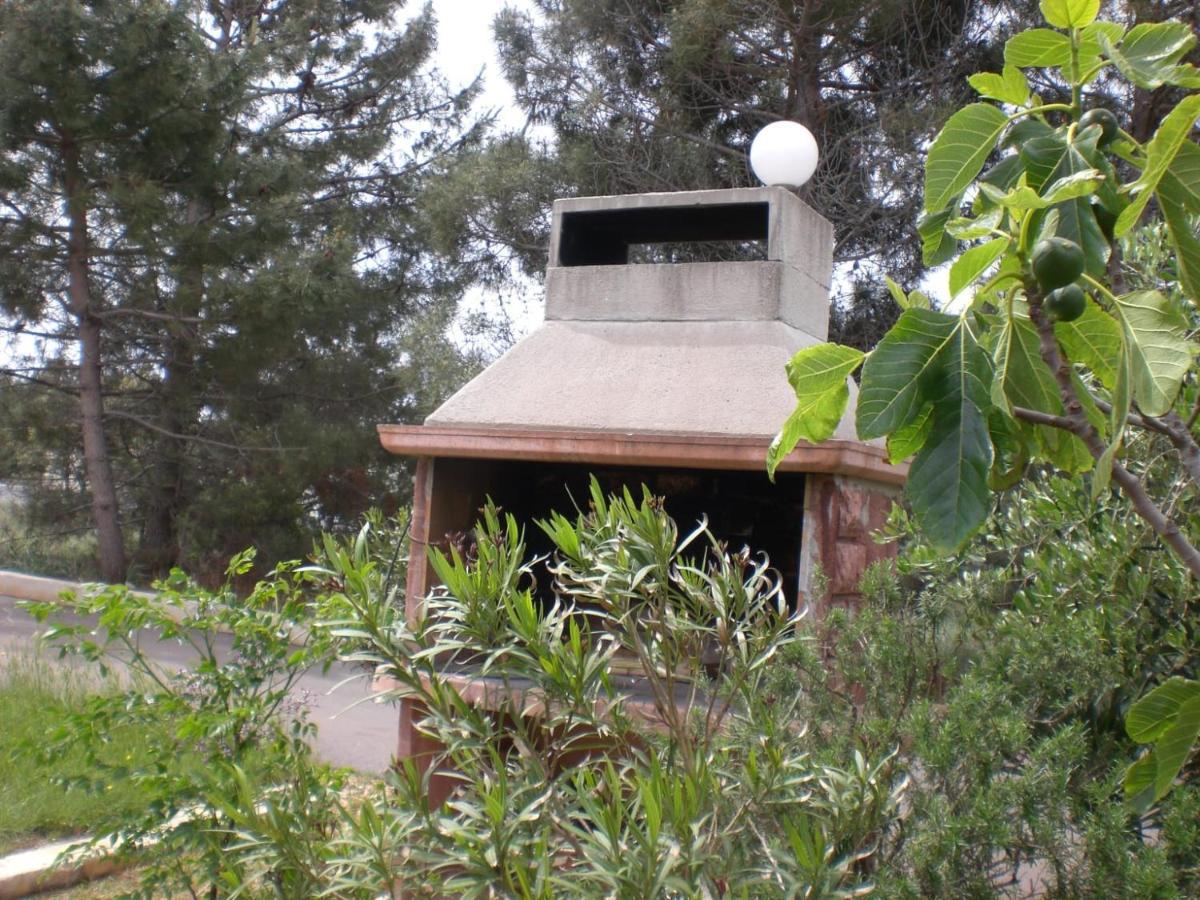Apartmani Vesna Vir Exterior foto